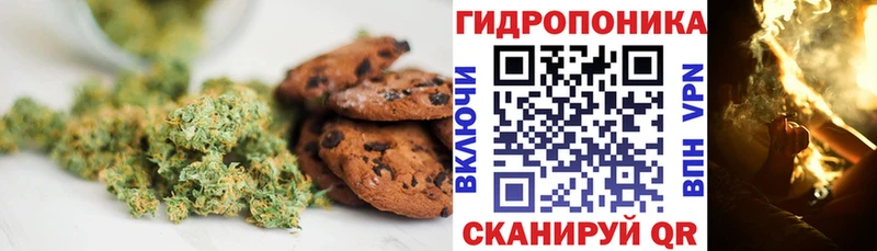 Canna-Cookies конопля  гидра онион  Алексин 