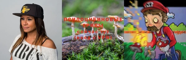 каннабис Новокубанск
