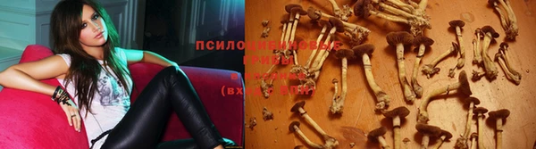 бутират Новодвинск