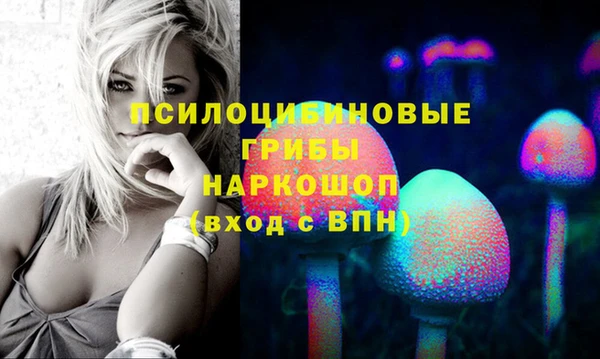 бутират Новодвинск