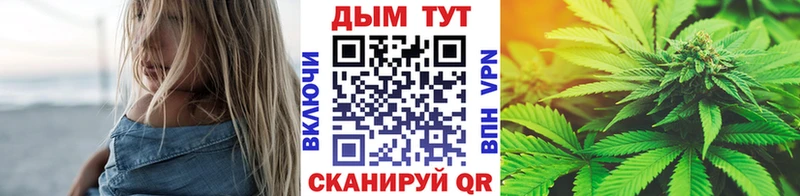 где найти   Алексин  Бошки марихуана MAZAR 
